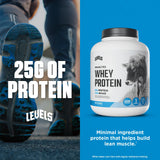 Levels Nutrition whey mélange rapide dans shaker, texture lisse