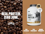 Levels Whey Cappuccino tasse prête: boisson prête à déguster