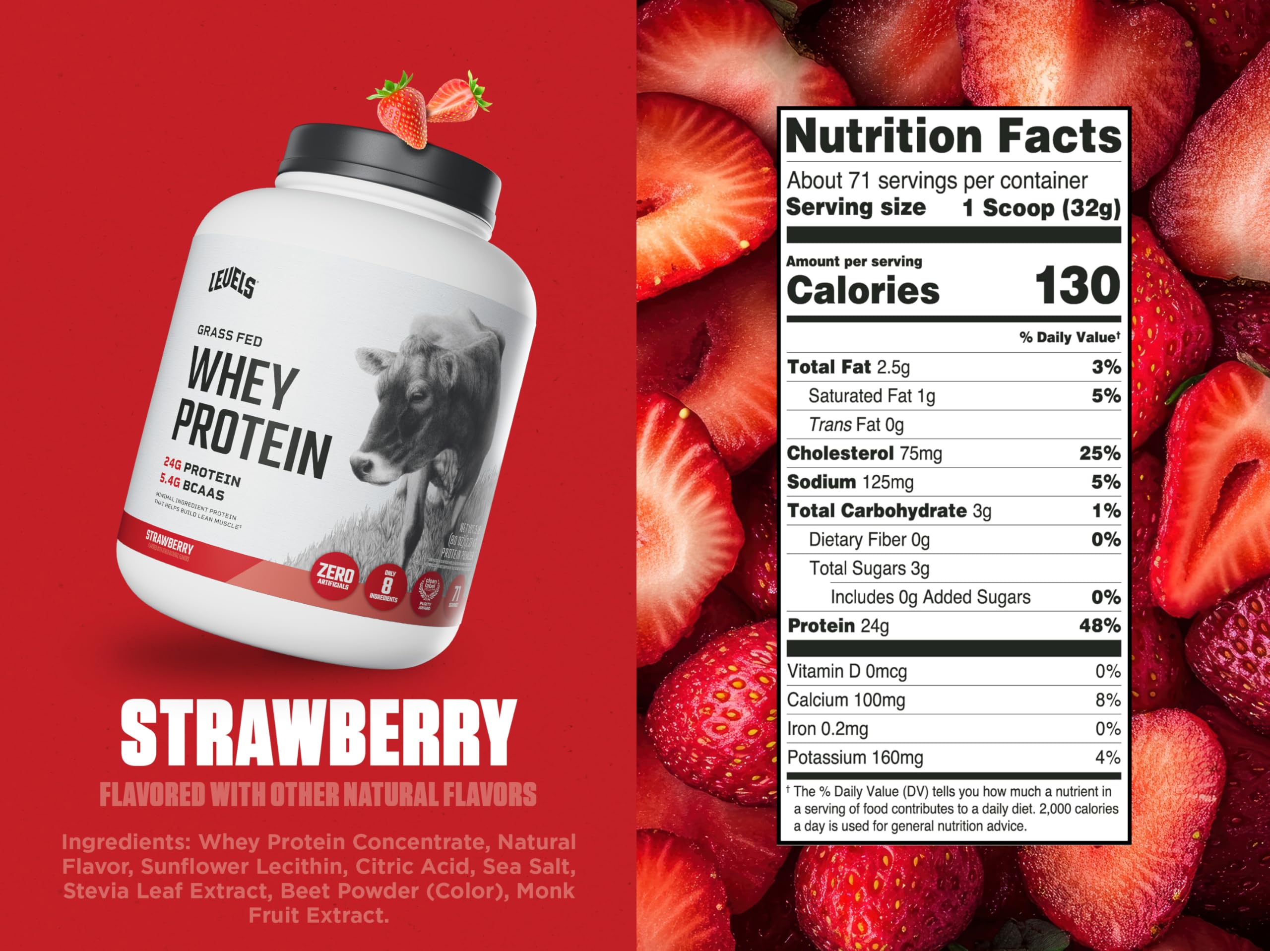 Cuillère doseuse Levels Whey – dosage précis pour 24 g de protéine.