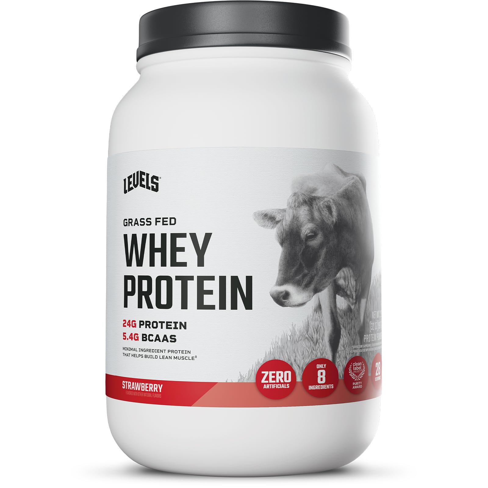 Levels Whey Protéine: poudre fraises dans bol pour un apport rapide après l’entraînement.