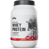 Levels Whey Protéine: poudre fraises dans bol pour un apport rapide après l’entraînement.