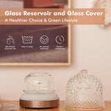 Levoair réservoir en verre transparent pour surveiller le niveau d'eau.