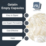 Capsules en gélatine de bœuf 500 unités, prêt à être remplies.