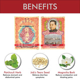 Po Chai Pills Li Chung Shing Tong, boîtes compactes idéales pour voyage.