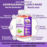 Boîte Liekoh Ashwagandha et Lion Mane, format pratique.