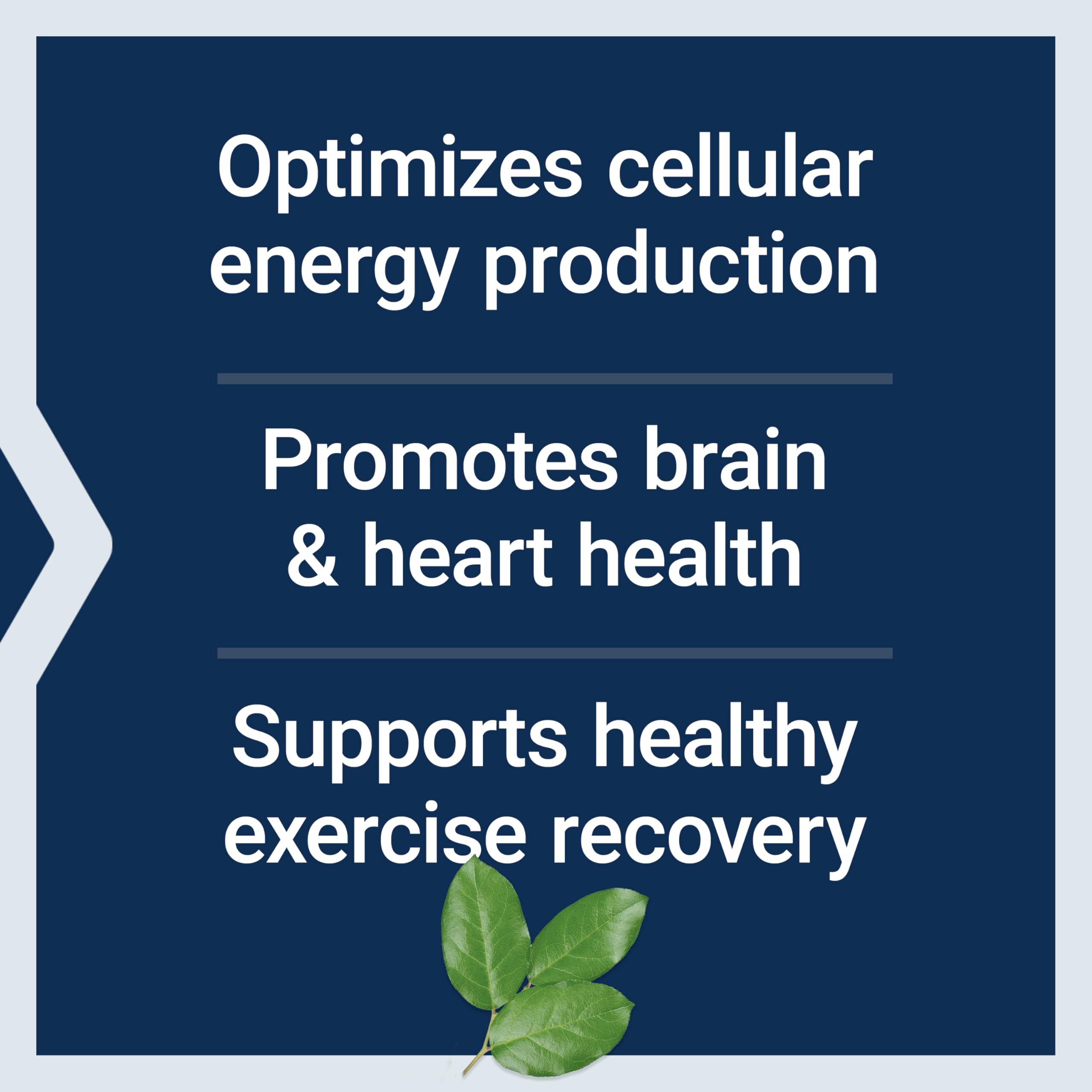 Life Extension Optimisee Carnitine: soutien potentiel cœur et cerveau lors d'efforts