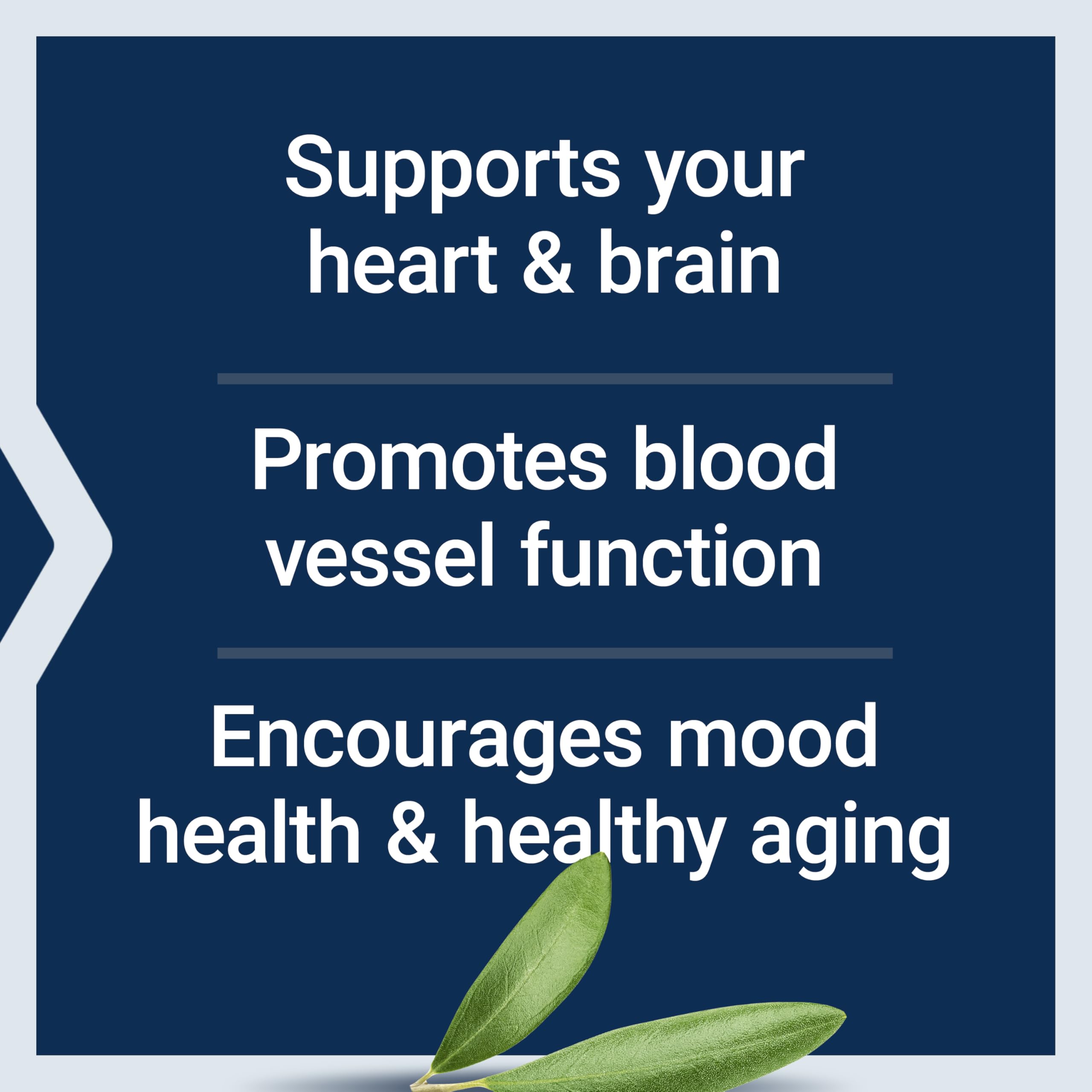 Life Extension Extrait d'olive: polyphénols naturels pour le soutien cardiovasculaire.