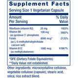 Life Extension Homocysteine Resist – étiquette lisible sur le flacon avec ingrédients bioactifs.