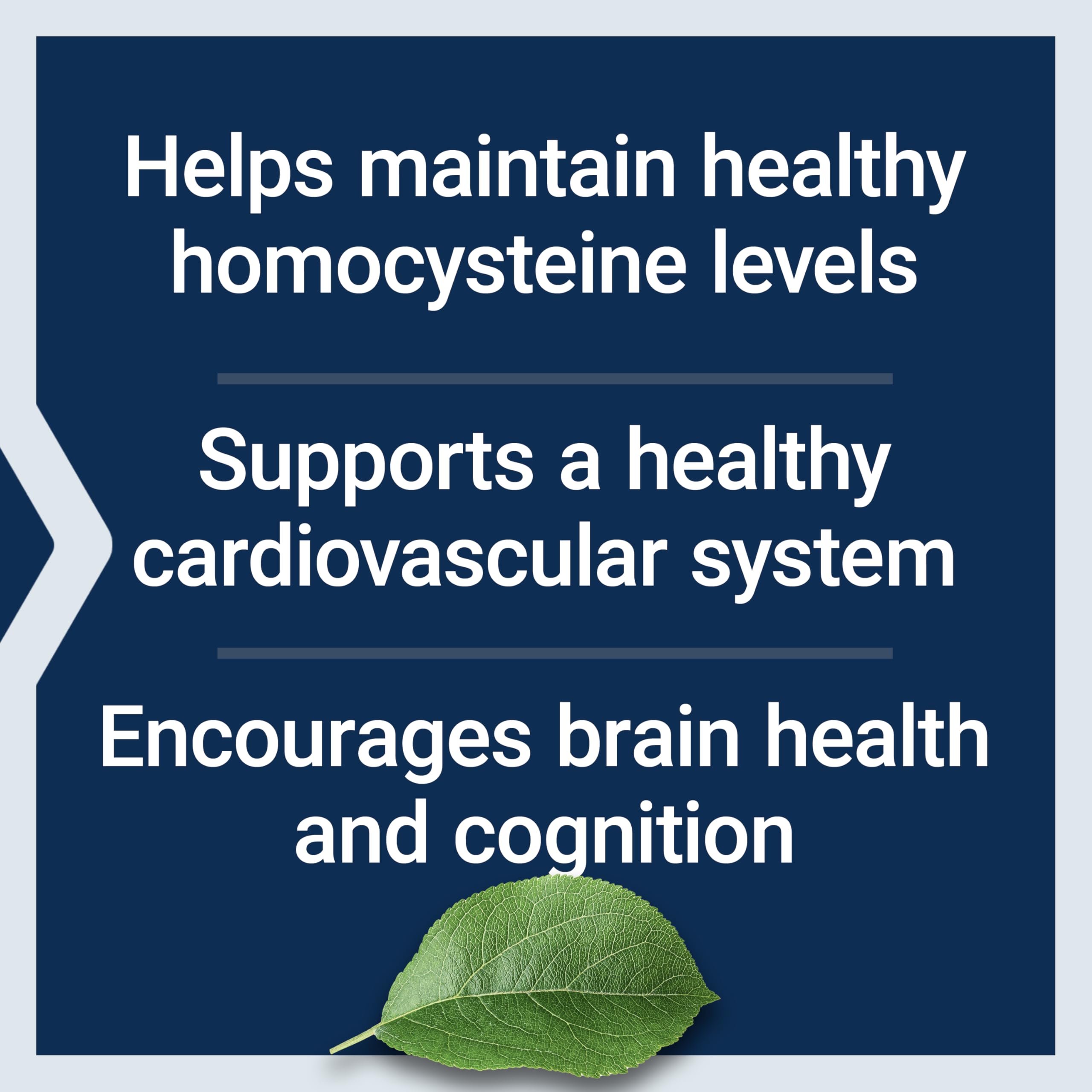 Life Extension Homocysteine Resist – flacon transparent montrant des capsules uniformes.