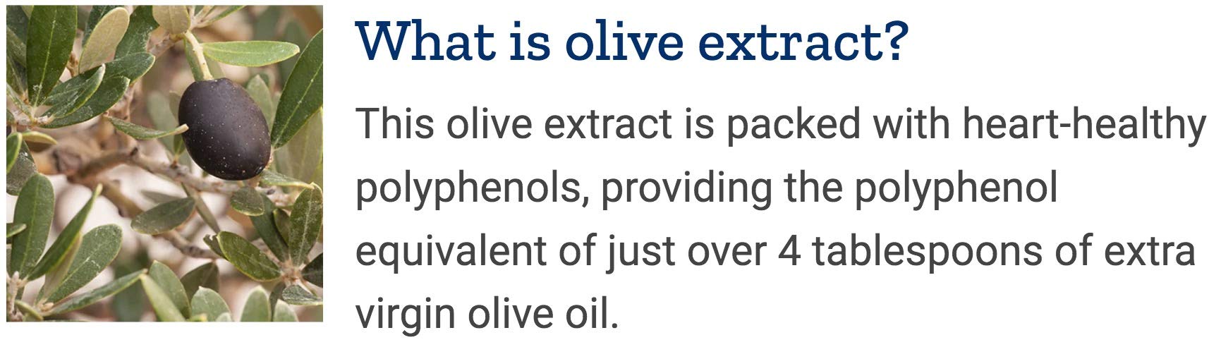 Life Extension lignanes de sésame et extrait d’olive: renforcent la fraîcheur et les bienfaits.