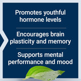 Life Extension Pregnenolone – blister capsules – présentation pratique pour usage quotidien