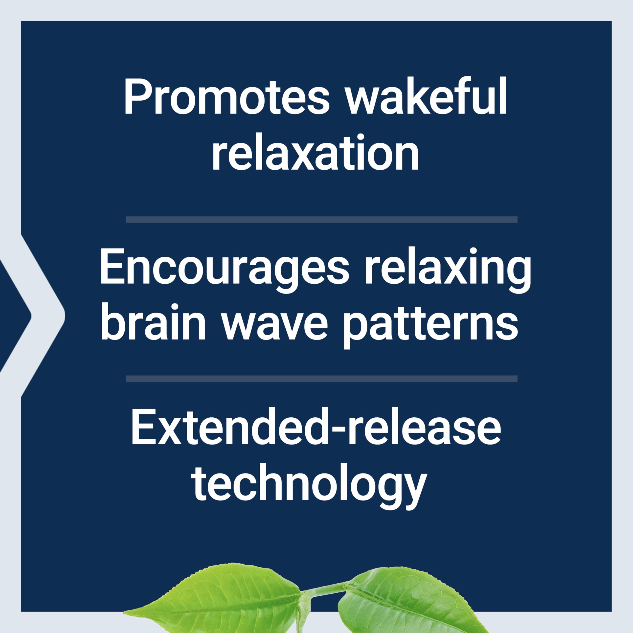 Life Extension Theanine XR – tablettes: prise quotidienne pratique et discrète.