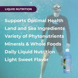 Nori et kombu dans Life Force Body Balance, algues nutritives