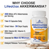 Lifeatlas Akkermansia Probiotic — soutien potentiel du système immunitaire via le microbiote.
