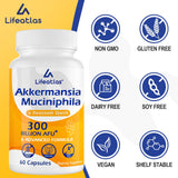 Lifeatlas Akkermansia Probiotic — usage quotidien pour une routine digestive stable.