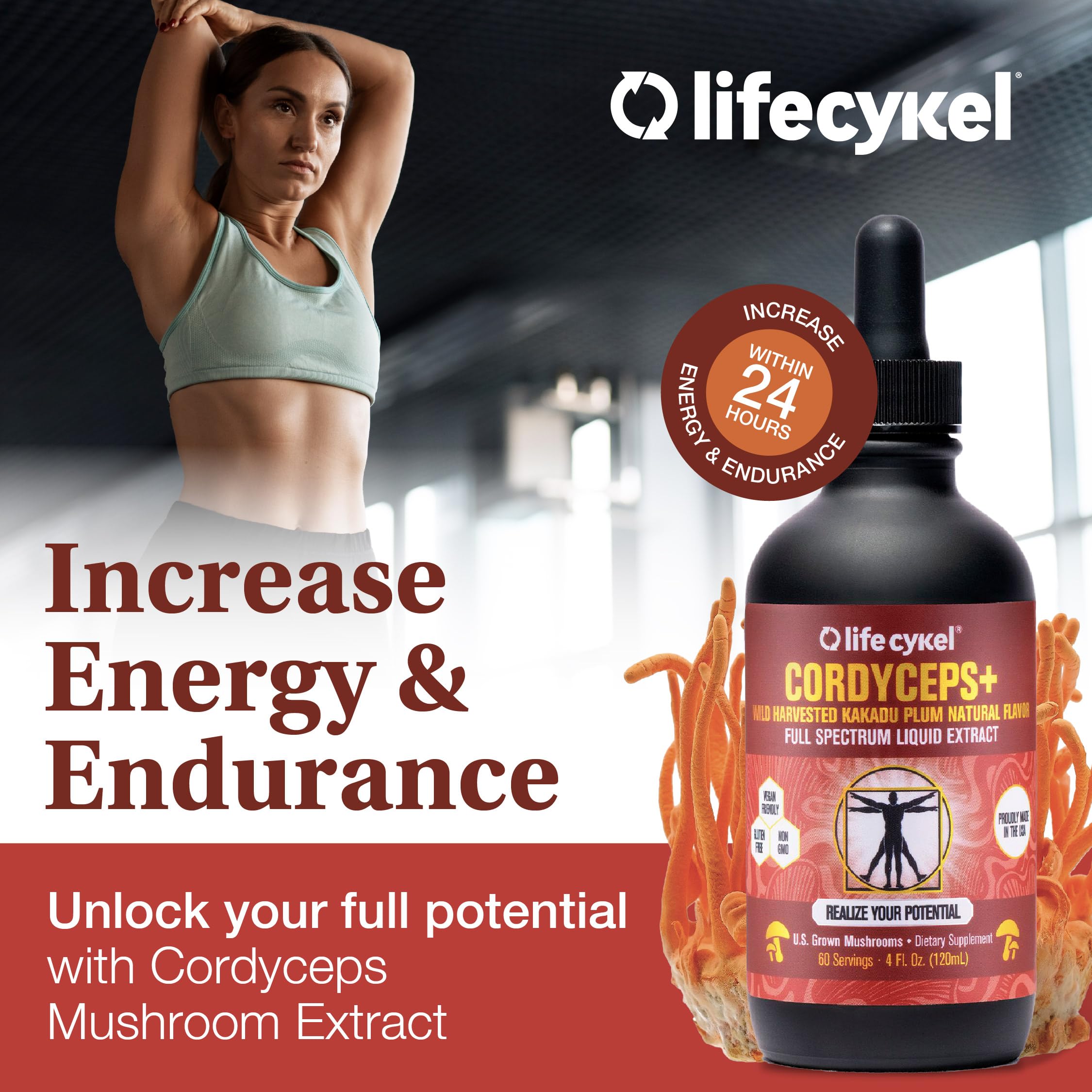 Life Cykel teinture champignons – extraction double pour biodisponibilité