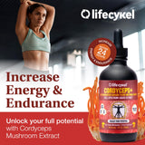 Life Cykel teinture champignons – extraction double pour biodisponibilité