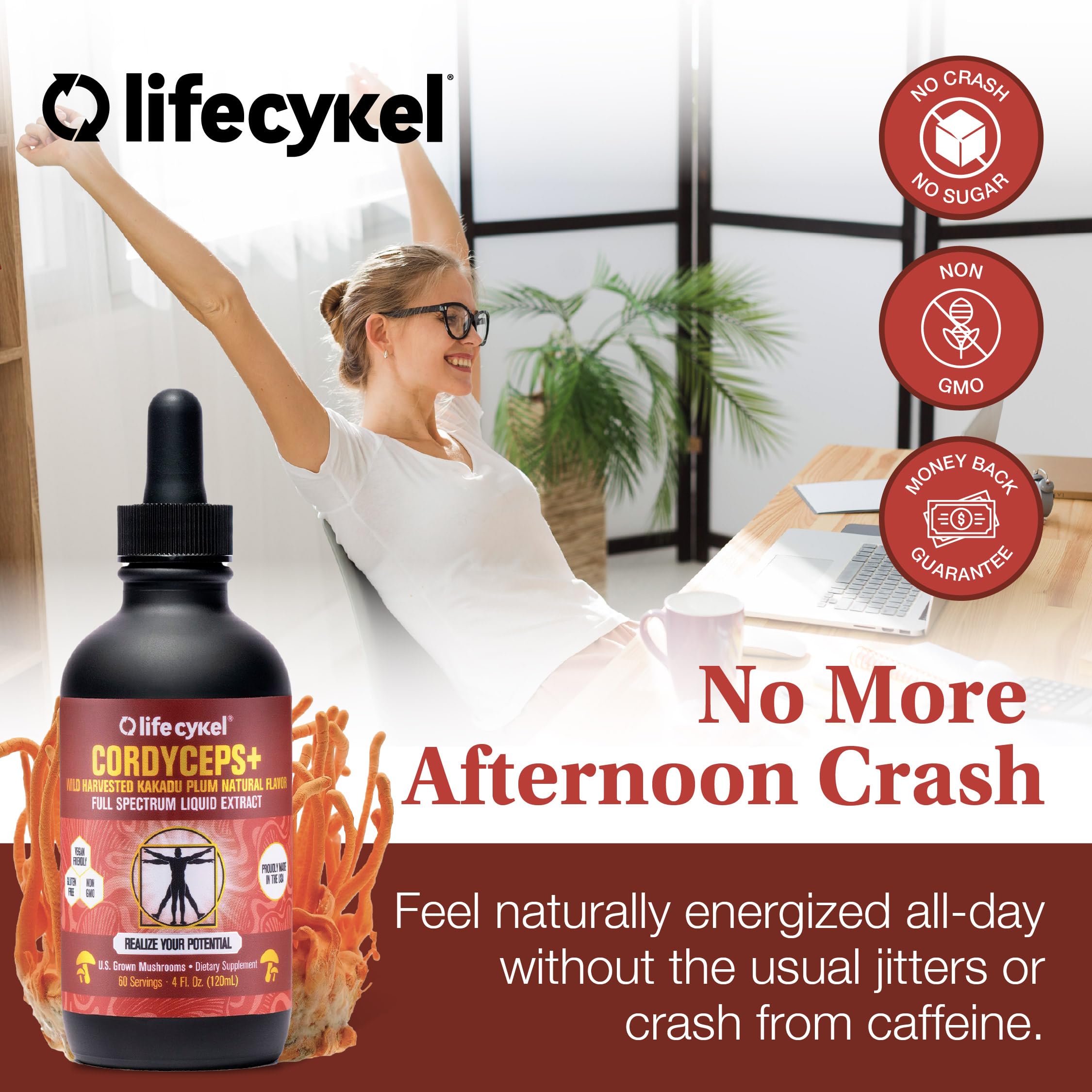 Life Cykel teinture champignons biologiques – ingrédients biologiques