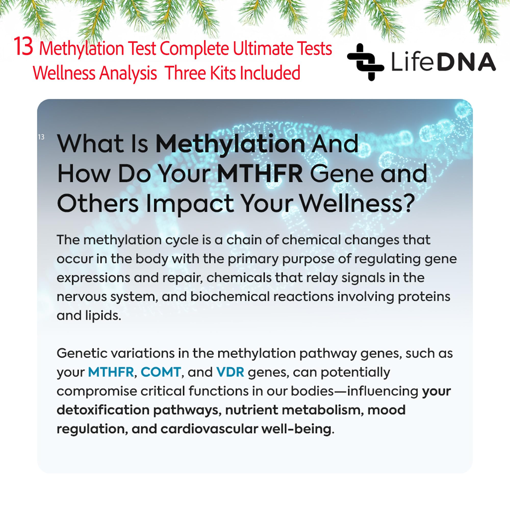 Rapports LifeDNA sur 135 traits: aperçus nutritionnels et sommeil personnalisés