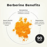 LifeSeasons Berberine – capsules pour usage quotidien, trois capsules par jour.