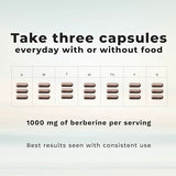 LifeSeasons Berberine – dosage clair pour une prise régulière.