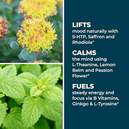 LifeSeasons Mood Stabili-T ingrédients naturels Rhodiola et Ginkgo pour le soutien quotidien