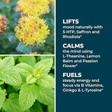 LifeSeasons Mood Stabili-T ingrédients naturels Rhodiola et Ginkgo pour le soutien quotidien