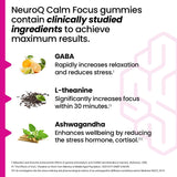 LifeSeasons NeuroQ Gomme – texture douce et expérience agréable pour le bien-être