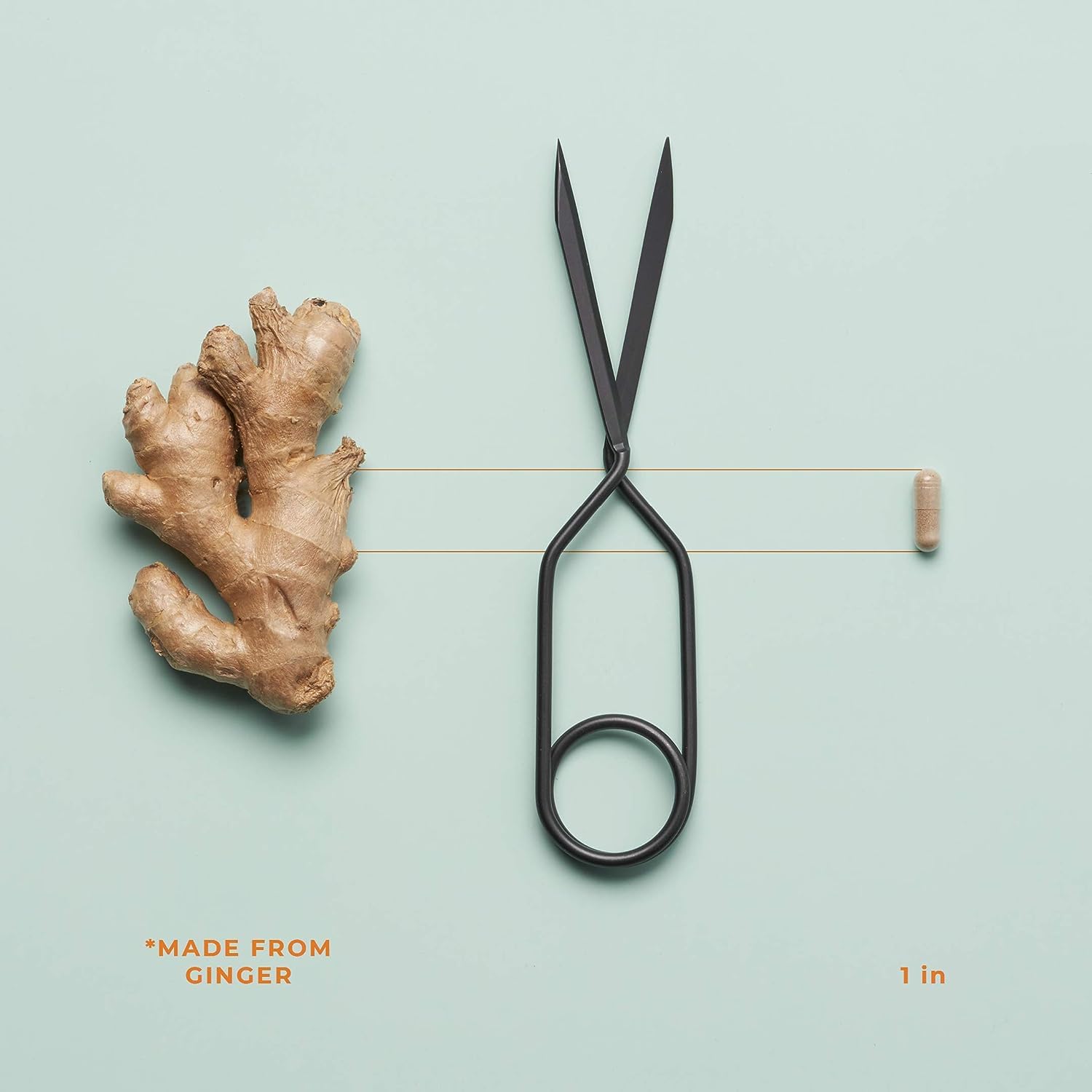 LifeSeasons PreMense-T: approche Nature et Science pour le bien-être.