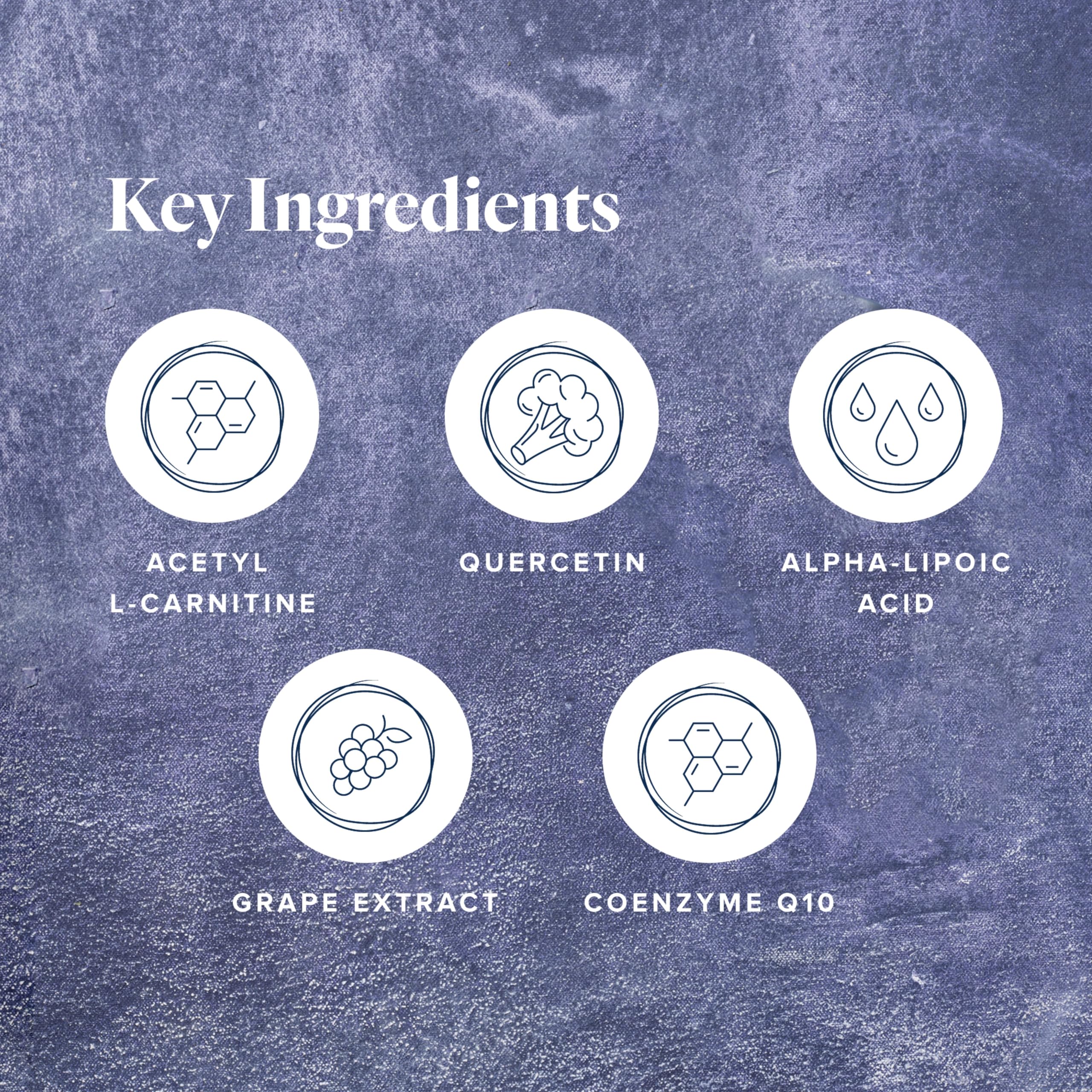 LifeVantage Protandim NRF1 Synergizer — étiquette claire facilitant le dosage quotidien.