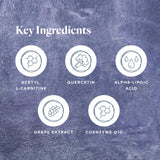 LifeVantage Protandim NRF1 Synergizer — étiquette claire facilitant le dosage quotidien.