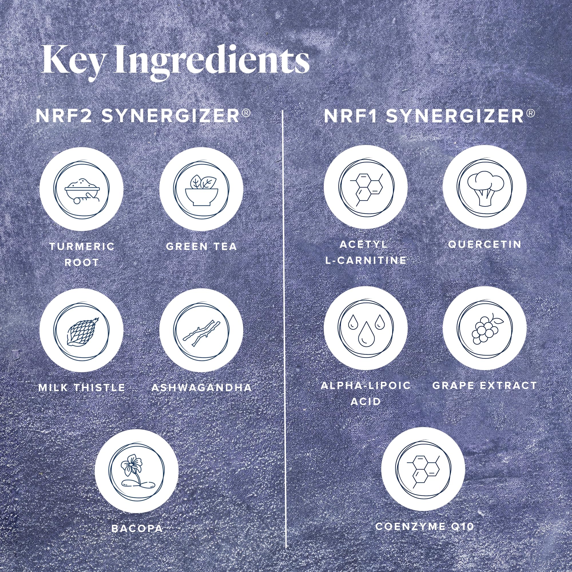 LifeVantage Protandim utilisation quotidienne gélules faciles à intégrer