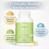 Bacillus Coagulans dans Lifted Naturals : souche résistante pour le confort digestif.