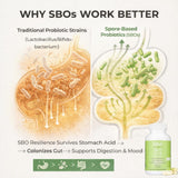 Bacillus Subtilis dans Lifted Naturals : souche résistante favorisant la digestion.