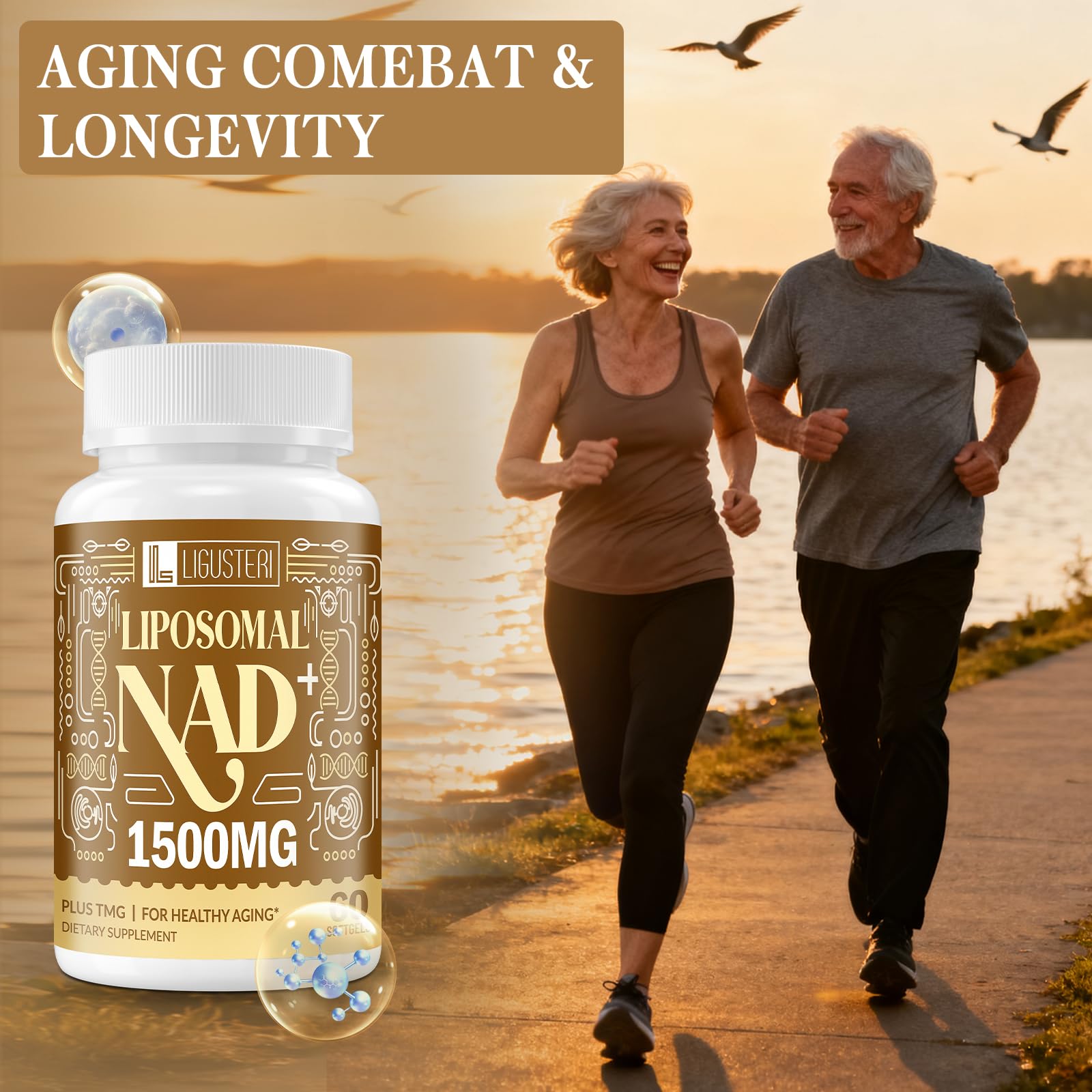 Utilisation quotidienne Ligusteri NAD+ liposomal, énergie soutenue tout au long de la journée