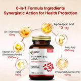 LIIFE antioxydant: duo ALA et PQQ pour l'équilibre redox.