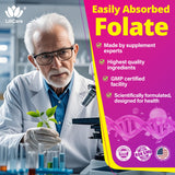 Absorption stable des nutriments dans les gommes LILICARE L-MethylFolate.
