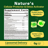Extrait de brocoli et sulforaphane dans Lilicare, formule concentrée.