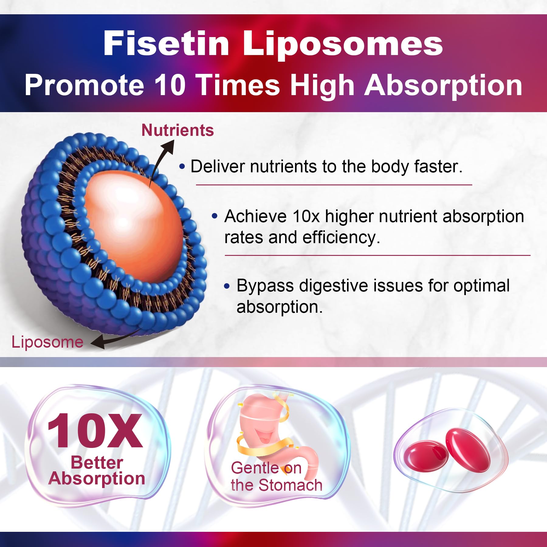 Fisetine Lilicare 98% pur dosage 1200 mg, potentiel soutien à la vitalité.