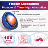 Fisetine Lilicare 98% pur dosage 1200 mg, potentiel soutien à la vitalité.