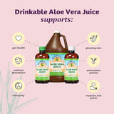 Lily Of The Desert Aloe Vera Juice: plante d’aloès source naturelle de nutriments.