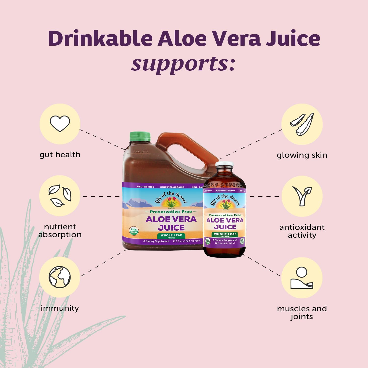 Verre prêt à servir Lily of the Desert Aloe Juice quotidiennement.