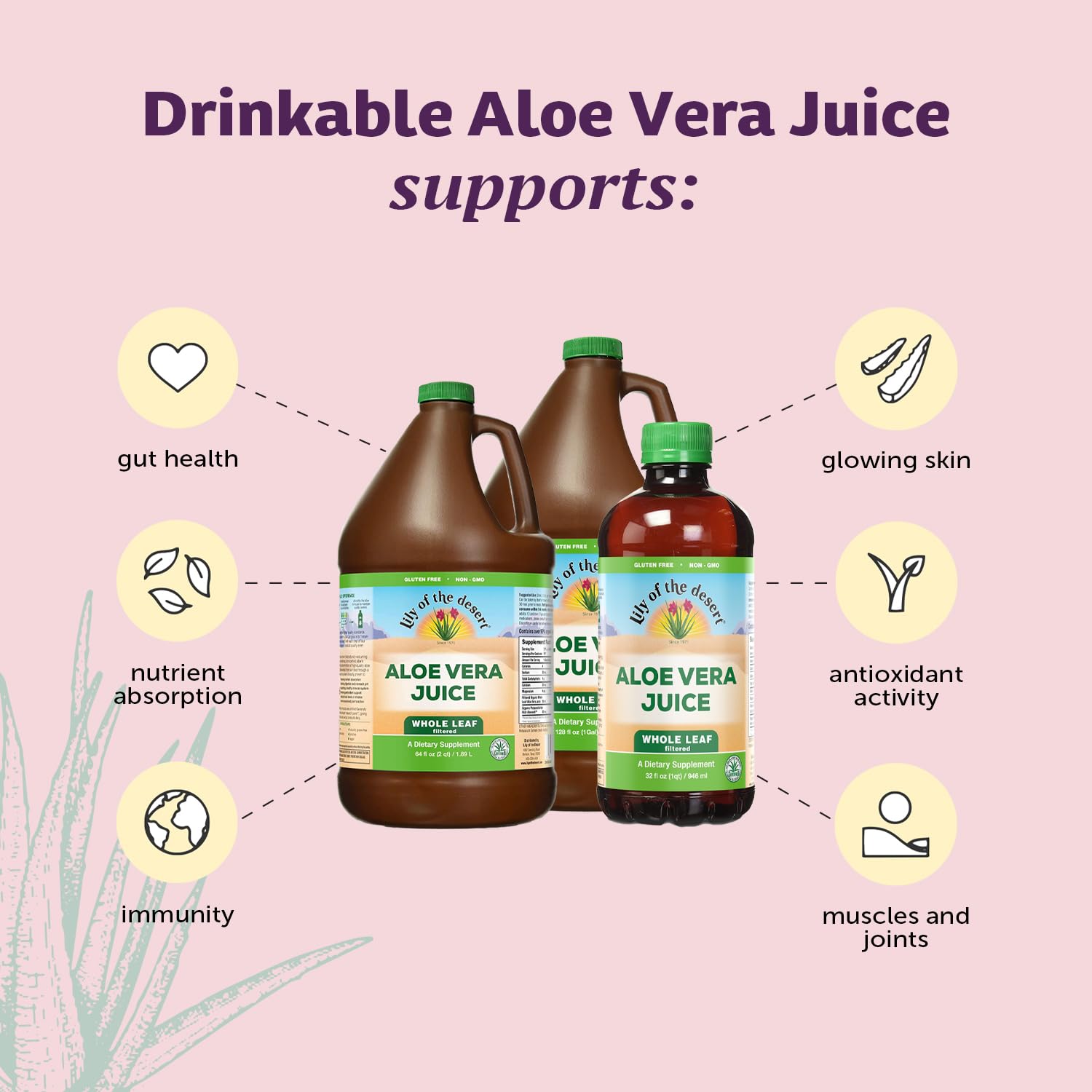 Aloesorb Lily of the Desert, extrait polysaccharides pour l'équilibre intestinal.
