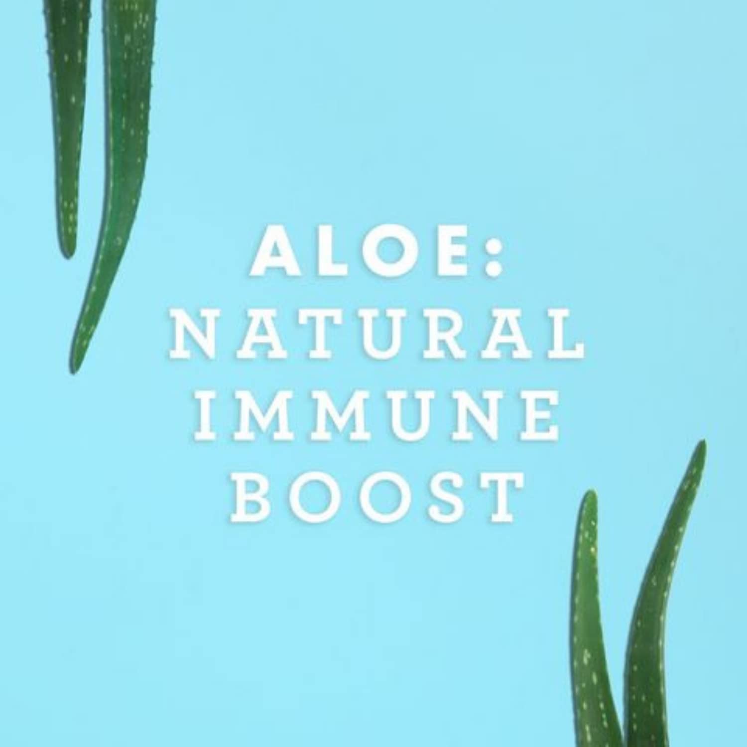 Versement du jus Aloe Vera dans un verre, Lily of the Desert Bio