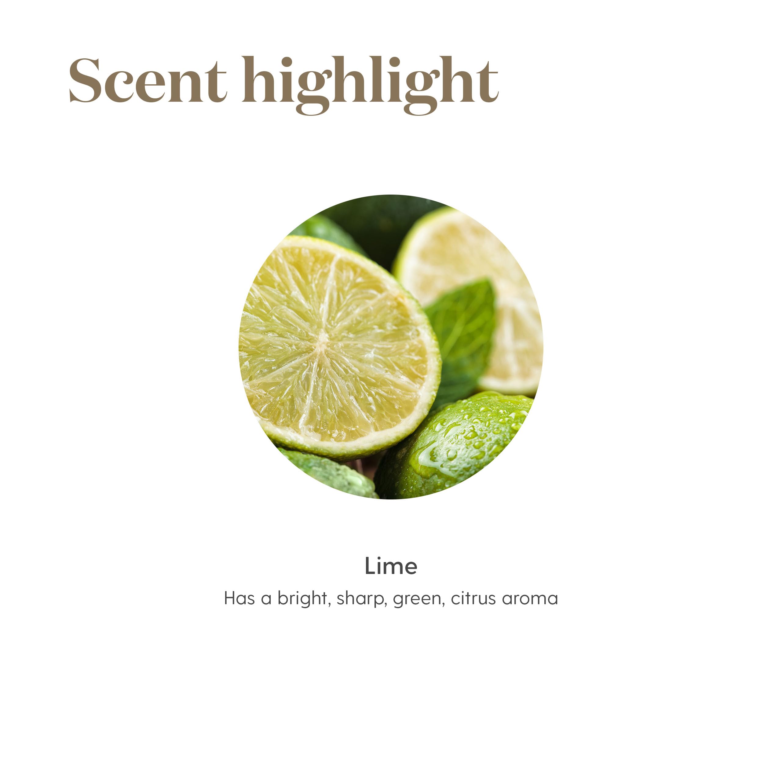 Young Living Lime Vitality – parfum naturel et dosage maîtrisé pour cuisiner.
