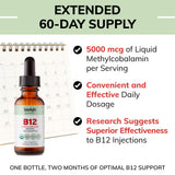 LIMELIGHT HERBALS B12 – produit vegan sans additifs et sans gluten.