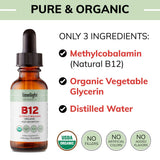 LIMELIGHT HERBALS B12 – concentration et clarté mentale possibles.