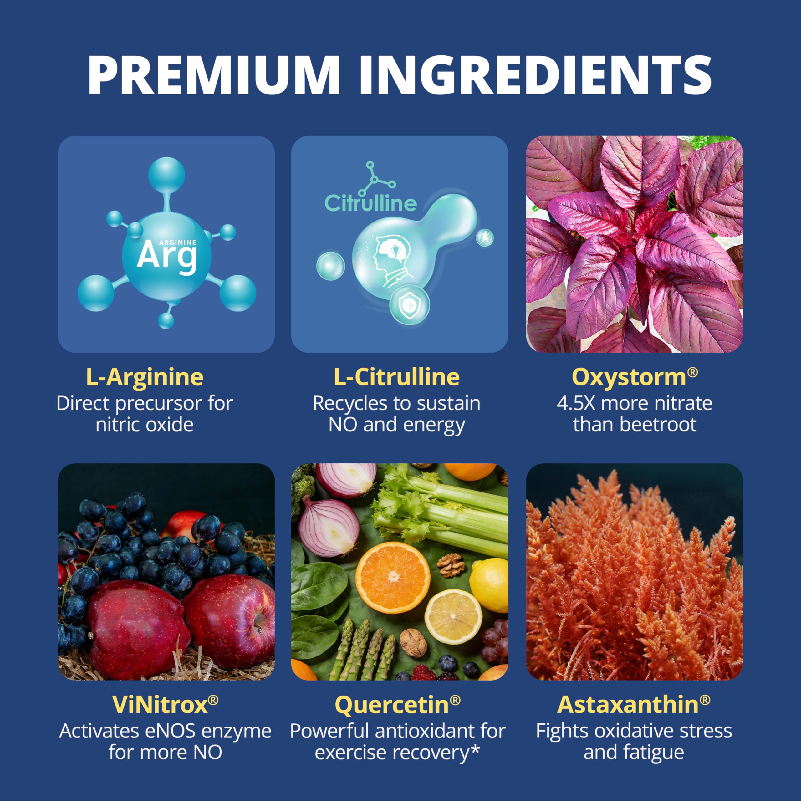 LincNutri oxyde nitrique citrulline: potentiel cardio et endurance.