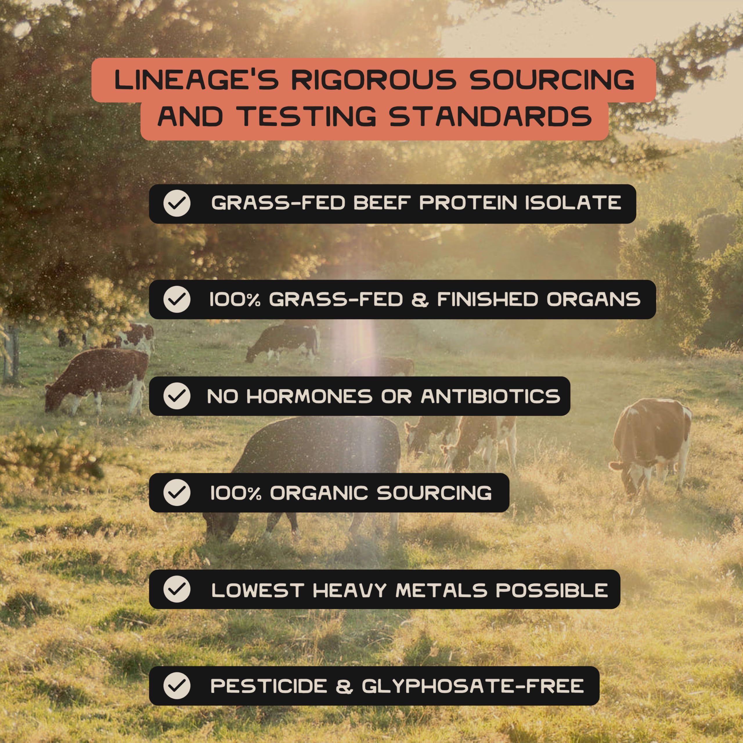 Lineage Provisions étiquette claire et présentation du produit.