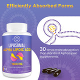 Lipmaxmall Ubiquinol – forme active, antioxydant et soutien énergétique potentiel.